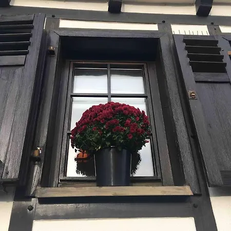 House Four Castles View - A Whole House For You!! *