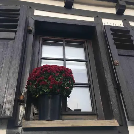 House Four Castles View - A Whole House For You!! * لورش ام راين