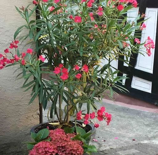 House Four Castles View - A Whole House For You!! Holiday home Lorch am Rhein