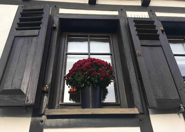 House Four Castles View - A Whole House For You!! *