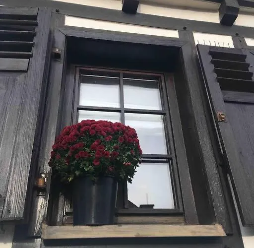 House Four Castles View - A Whole House For You!! * Lorch am Rhein